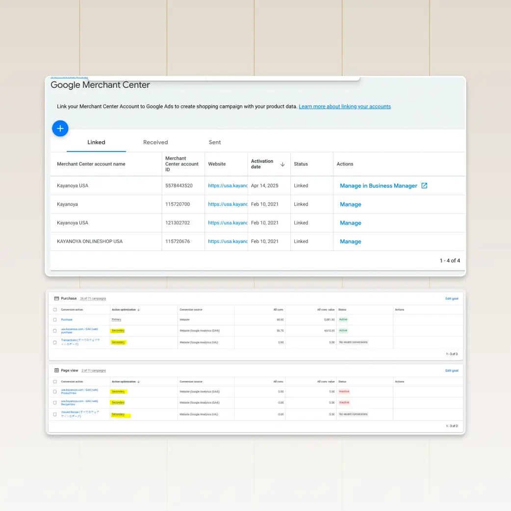 Operations audit — Google Merchant Center accounts and ad campaigns
